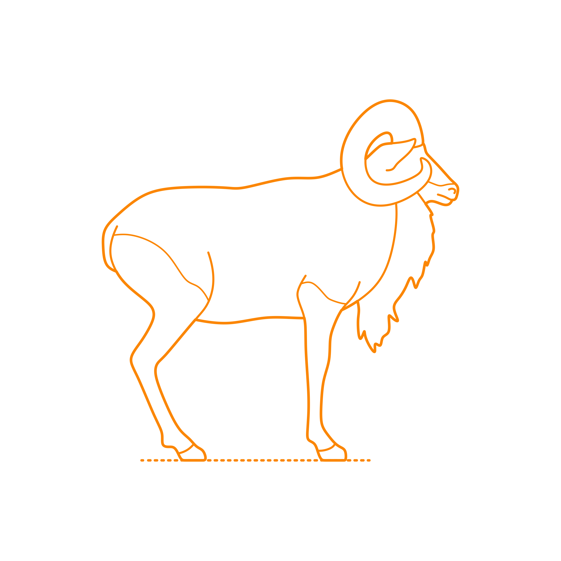 Animals Caprids Urial Sketch Svg Vector Free Vectors